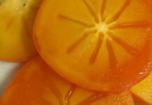 Trees May Benefit From Winterization trees