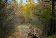 Union Square SFPD Brutality Against Homeless Man And Pet
