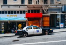 Help Needed To Locate Elder Abuse Victims Dog