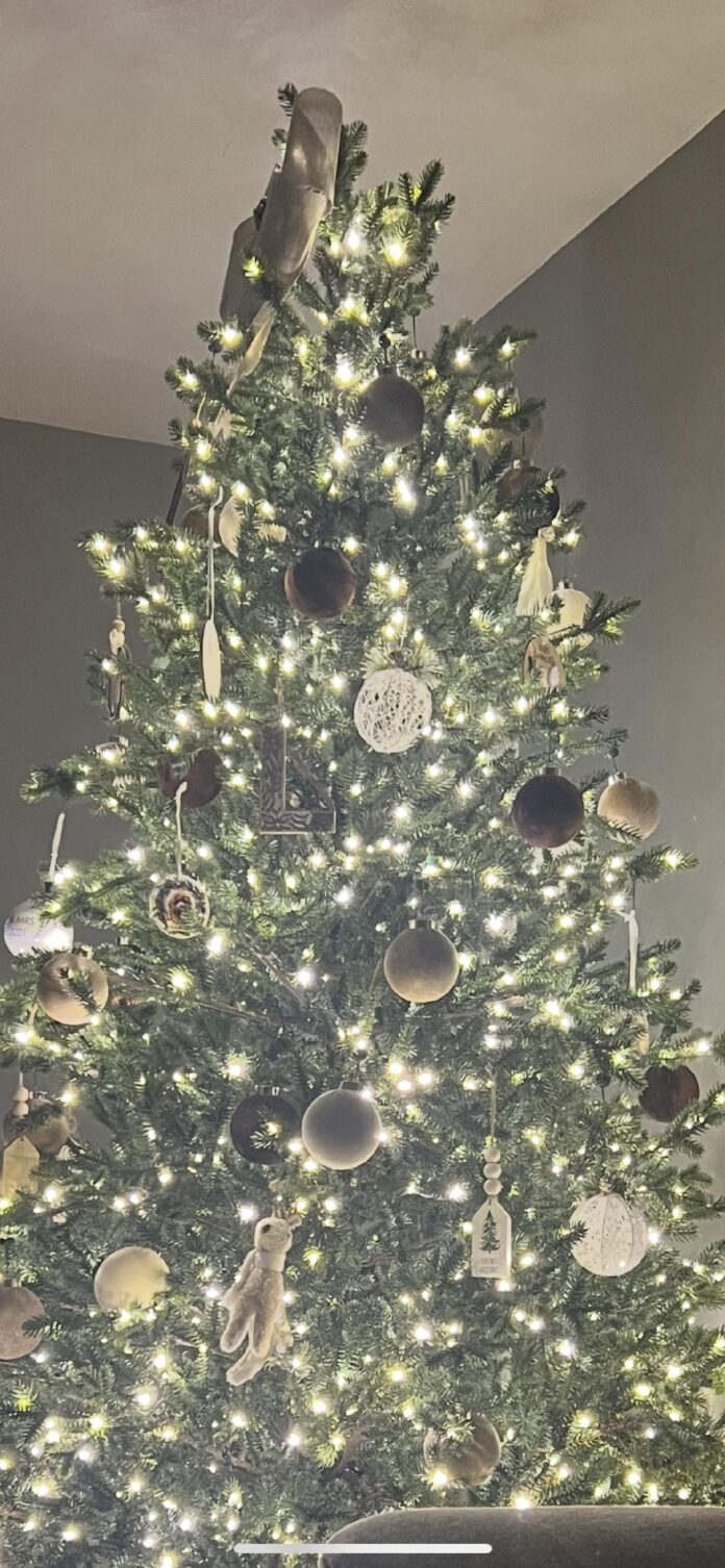 Christmas Trees And Celebrities!