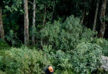 LAFD First Responders Rescue Driver Off Cliff