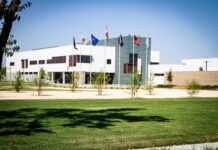 Two Apprehensions Made Involving Trafficking Minor