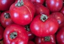 Warm Season Vegetables Are Next warm season vegetables