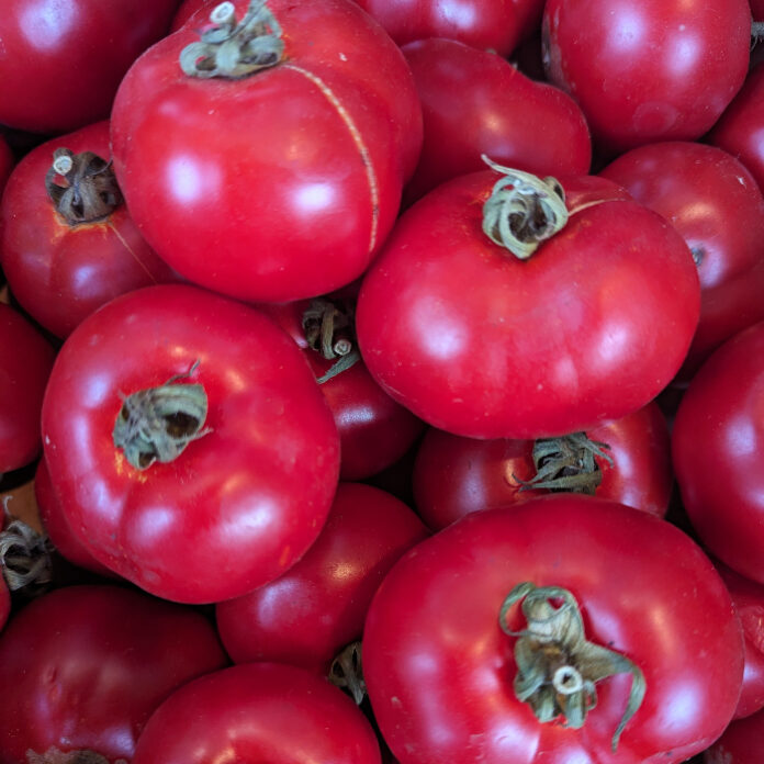 Warm Season Vegetables Are Next warm season vegetables