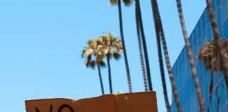 Anti-ICE Protester Arrested For Throwing Molotov Cocktail