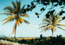 Mar-a-Lago Intruder Shot Dead By Secret Service