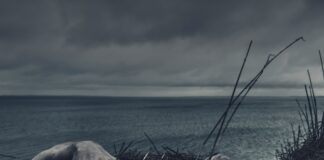 Horror Is Having A Moment At The Box Office