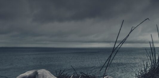 Horror Is Having A Moment At The Box Office