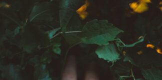 Valentin And Carly Heat-Up “General Hospital!”