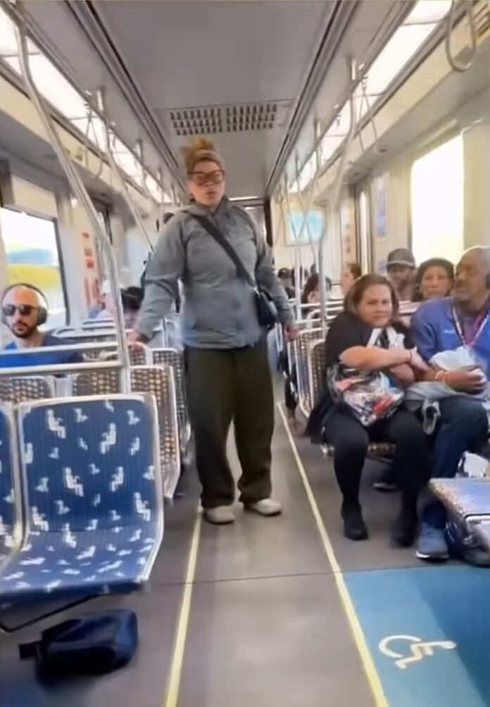 Woman Attacked On E-Train In Santa Monica
