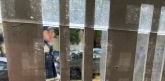 Lani Mati Apprehended For Stabbing Acquaintance