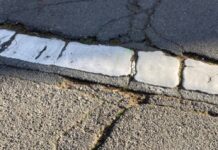 San Francisco Zoo Shaken By Earthquake