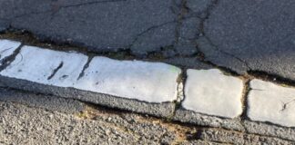 4.6 Santa Cruz Epicenter Earthquake Rocked Bay Area