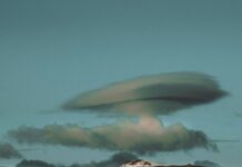 Author-YouTuber David Wilcock Dies Of Apparent Suicide