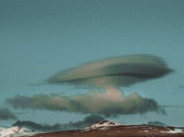 Author-YouTuber David Wilcock Dies Of Apparent Suicide