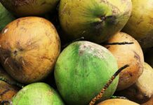 “Survivor 50” Recap: ‘Double The Fun, Double The Demise’