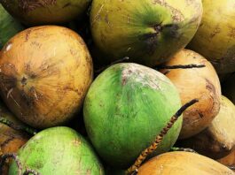 “Survivor 50” Recap: ‘Double The Fun, Double The Demise’