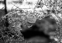 Aggravated Burglary In Hollywood Hills West