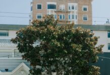 Suspects Arrested For Shooting Incident