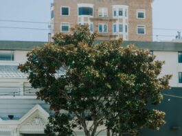 Suspects Arrested For Shooting Incident