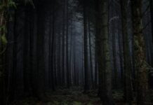 “From” Recap: ‘Fray’