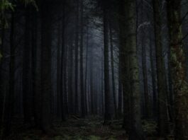 “From” Recap: ‘Fray’