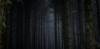 “From” Recap: ‘Fray’