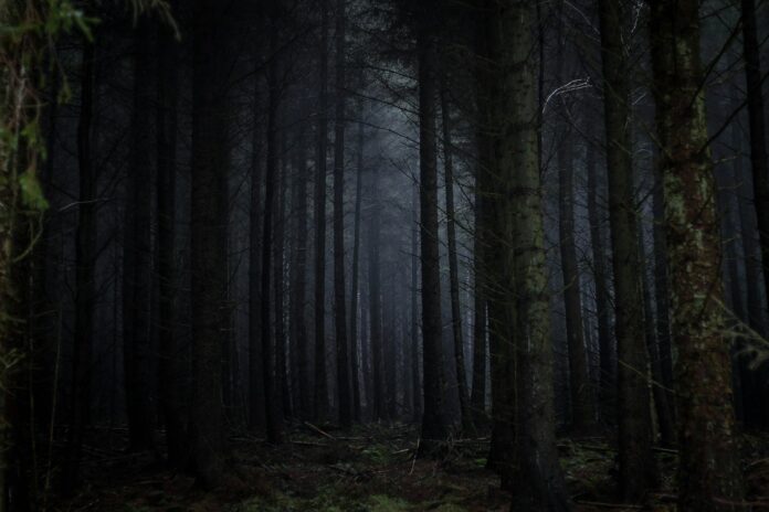 “From” Recap: ‘Fray’