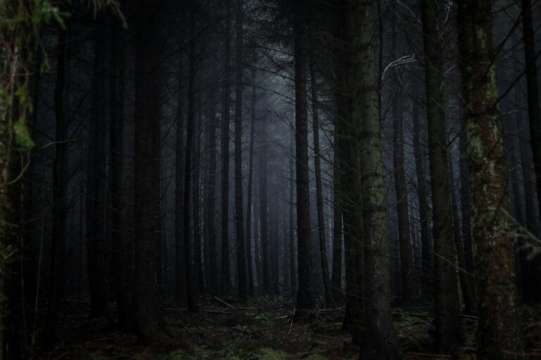 “From” Recap: ‘Fray’