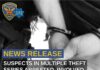 SFPD Make Arrests In Multiple Theft Series