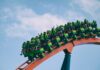 Am I Crazy For Loving Roller Coasters?