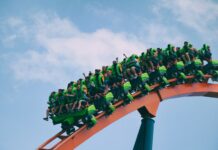 Am I Crazy For Loving Roller Coasters?