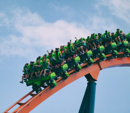 Am I Crazy For Loving Roller Coasters?