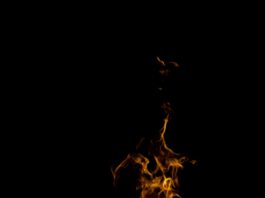 Viengphet Sasone Guilty Of Possessing Incendiary Device
