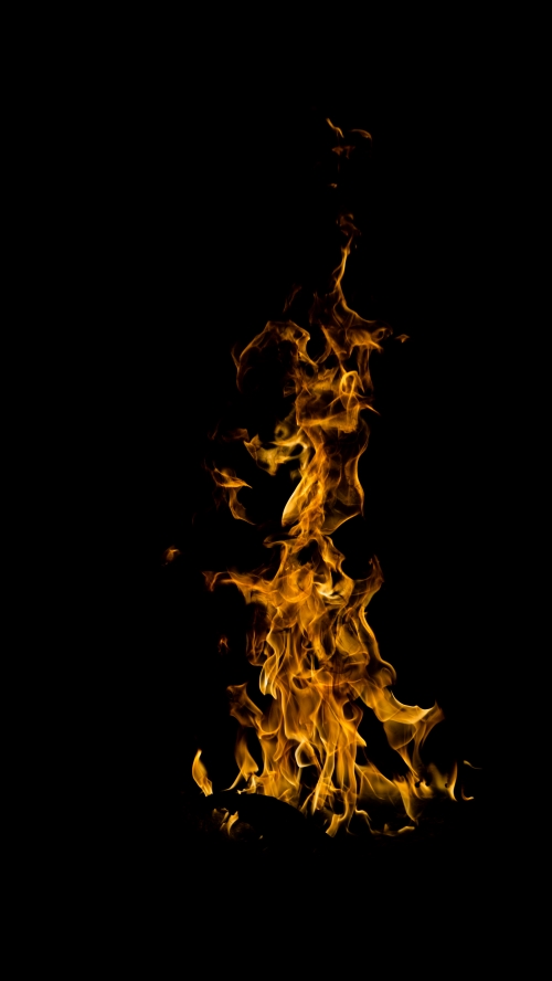 anthony-diehl-Dj-zdwmP92k-unsplash