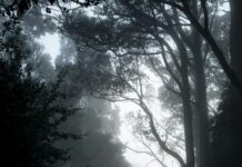 “From” Recap: ‘Of Myths And Monsters’