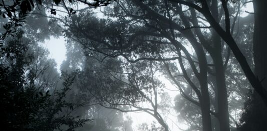 “From” Recap: ‘Of Myths And Monsters’