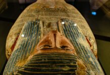 “Lee Cronin’s The Mummy” Is A Spooky Watch