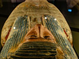 “Lee Cronin’s The Mummy” Is A Spooky Watch