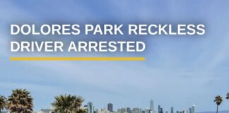 Justice Ray Arrested For Reckless Driving In Dolores Park