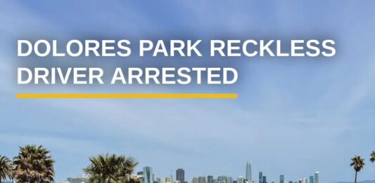 Justice Ray Arrested For Reckless Driving In Dolores Park