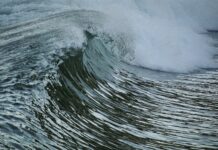 Beach Reports: Rip Currents, High Bacteria Levels