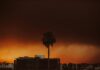 Mayor Bass’s Brother Sues City Of Los Angeles