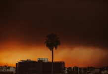 Mayor Bass’s Brother Sues City Of Los Angeles