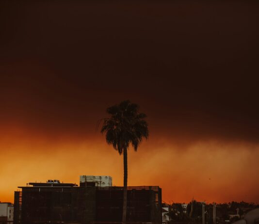 Mayor Bass’s Brother Sues City Of Los Angeles