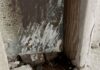 3.6 Magnitude Earthquake Shakes SF Bay