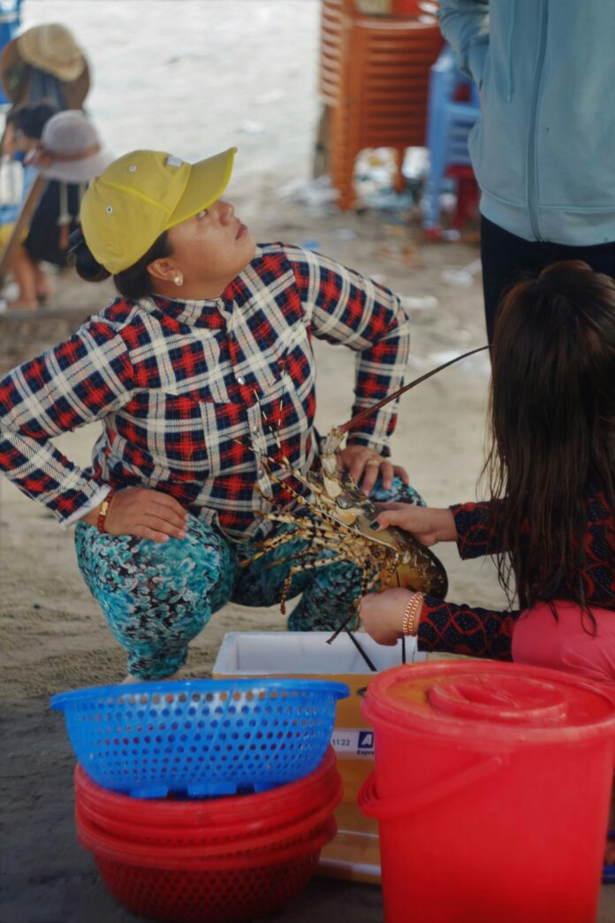 Six Arrested In Possession Of Spiny Lobsters