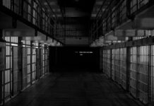 Nanette Musto Charged With Offensive Touching Of Jail Inmate