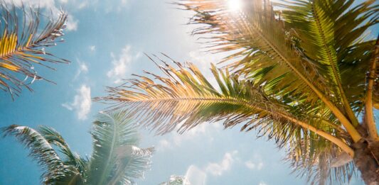Cool Or Hot, What’s Your Preference