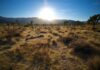 SOCAL Heat Advisory, Including Beverly Hills